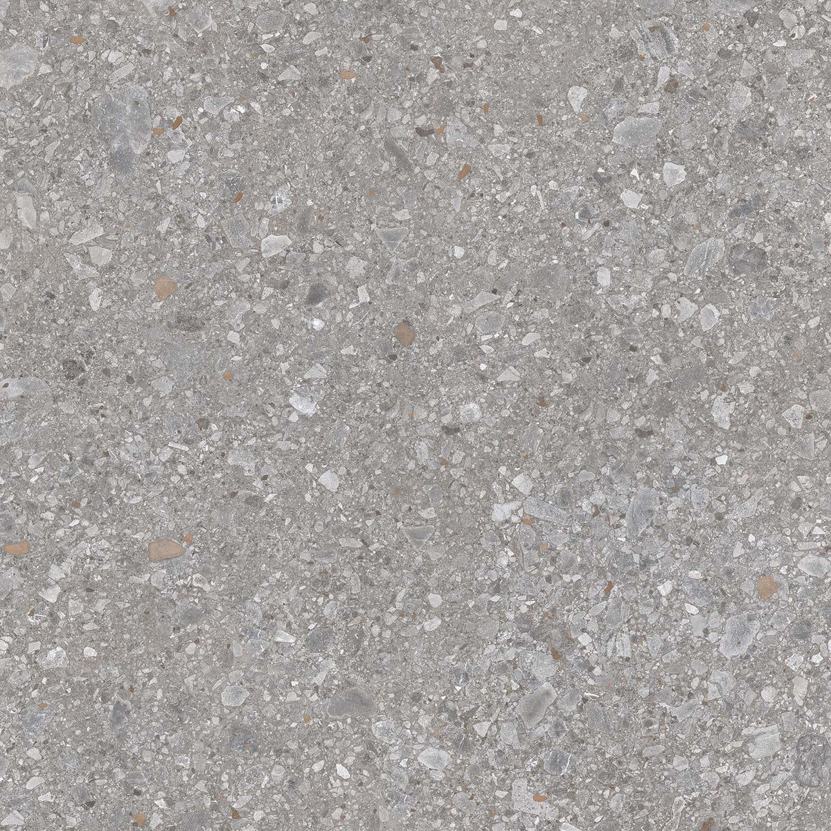Ground