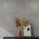 Polvere / 40 x 80 cm