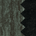 Comb - Green/Black